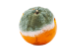 Moldy orange