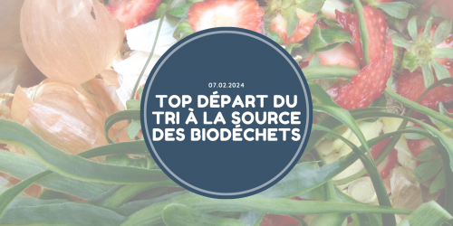 Bannière article Top départ du tri à la source des biodéchets